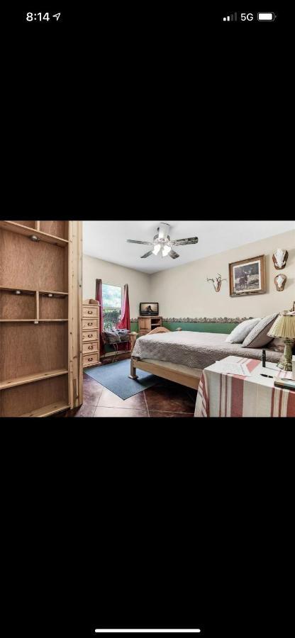 Little House On The Corner Apartment Livingston Ngoại thất bức ảnh